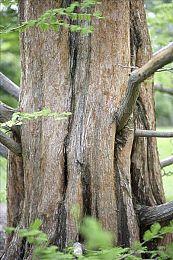 银河恶魔城风格新作《星穹遗迹》现已正式发售